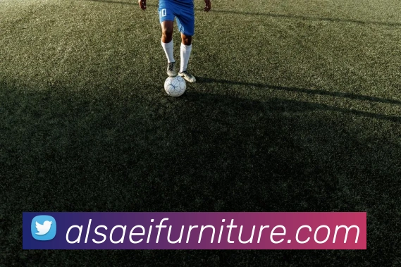 mksports登录入口平台生态图